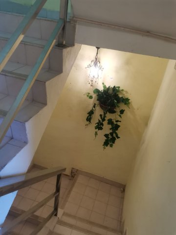 散頭角 95080030