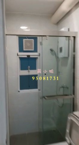 大尾督村  95081731