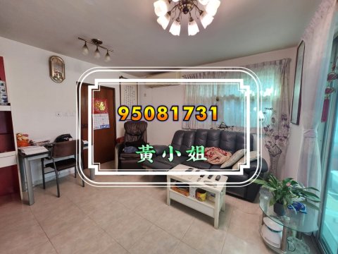 元嶺村     95081731
