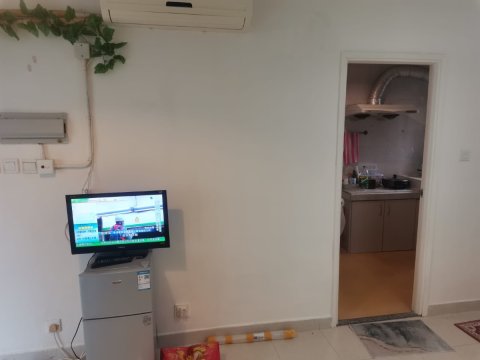散頭角 95080030