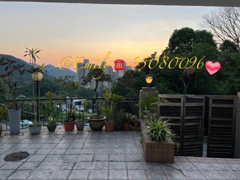 花心坑村 @ EMILY 95080096