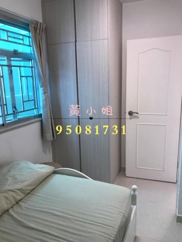 塘面村  95081731