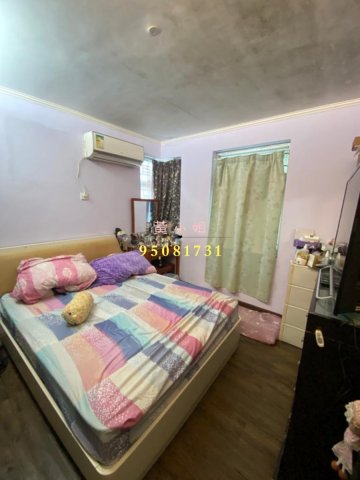 桐梓圍下村  95081731