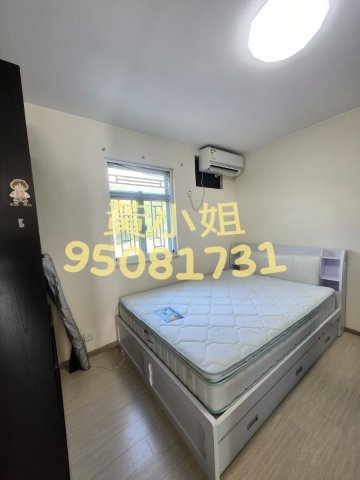 布心排  95081731