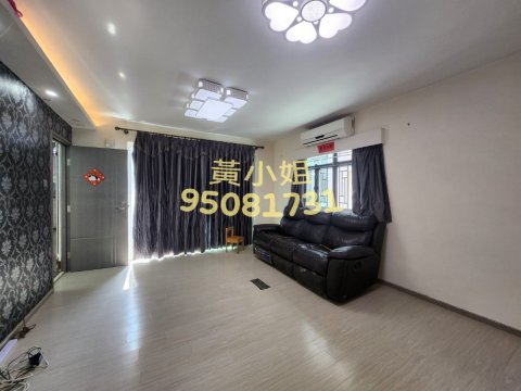 布心排  95081731