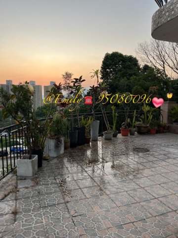 花心坑村 @ EMILY 95080096
