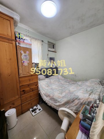 布心排  95081731