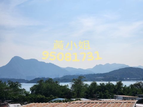 布心排  95081731