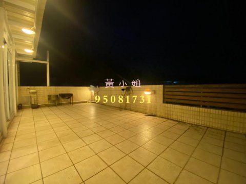 雅麗山莊 95081731