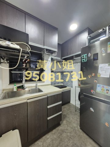 布心排