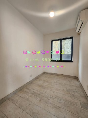 95081731