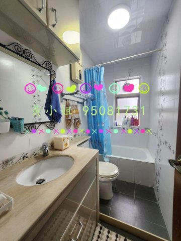 新屋家村  95081731