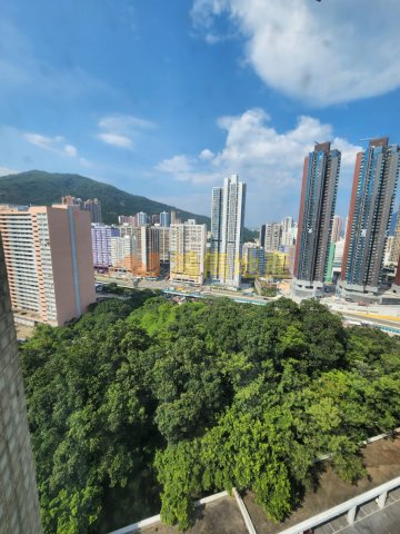 SUI WO COURT