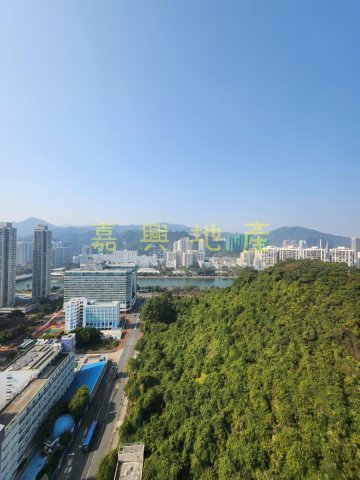 春暉花園