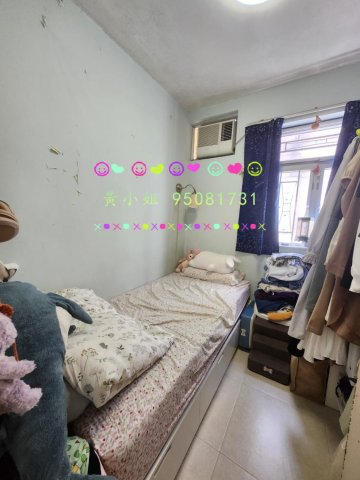 布心排 95081731