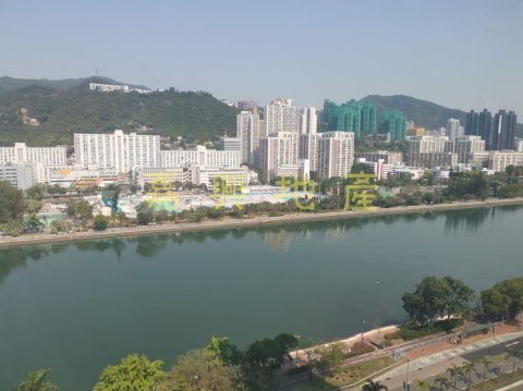 河畔花園 D座