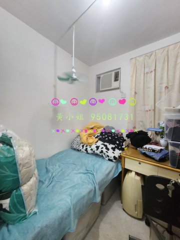 坑下莆 95081731