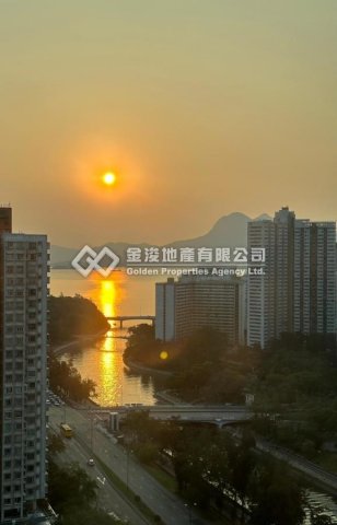 llam.com.hk