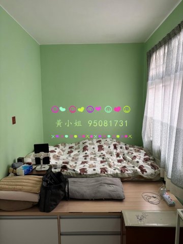 95081731