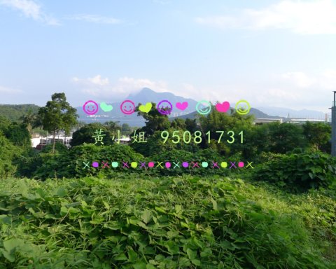 汀角村   95081731