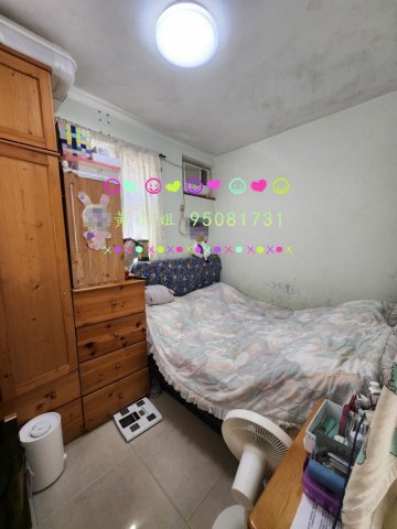 布心排 95081731