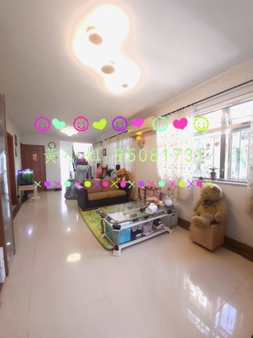 新屋家村  95081731