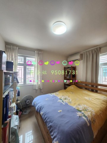 新屋仔村   95081731