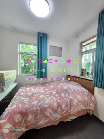 新屋家村  95081731