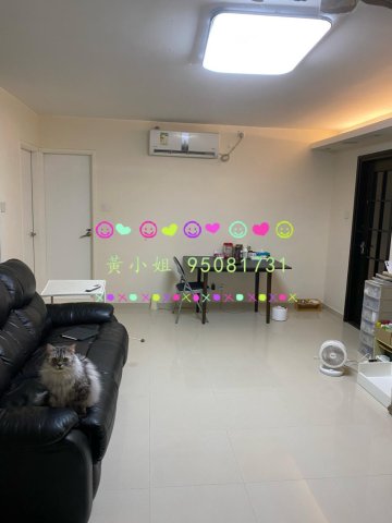秀麗花園  95081731