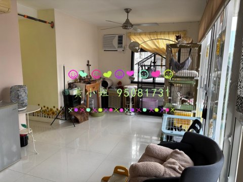 95081731