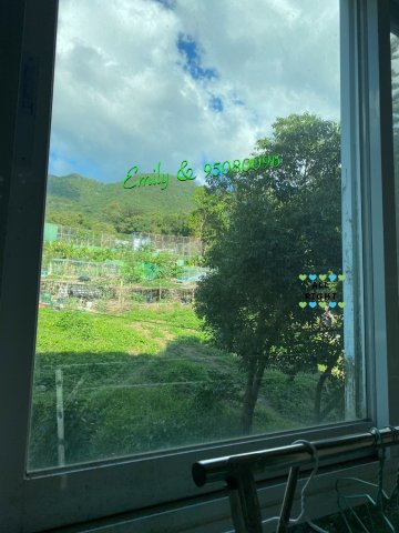 花心坑村 @ EMILY 95080096