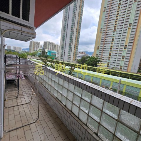 下禾輋村 95080030
