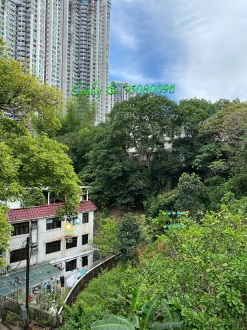 落路下 銀禧小築