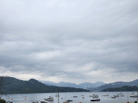 龍尾村