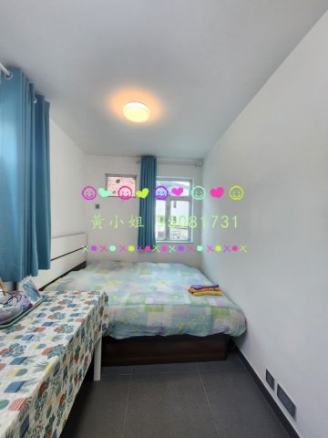 新屋家村  95081731