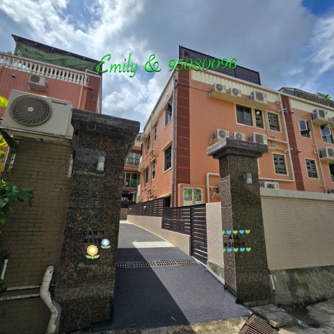 上禾輋村 @ EMILY 95080096