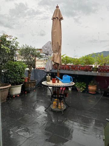 井頭村 95080030