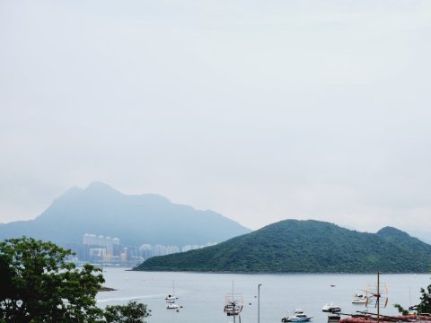 龍尾村 95080030