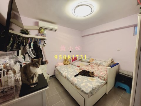 龍尾村  95081731