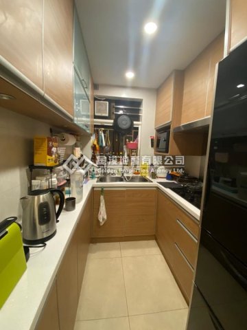 llam.com.hk