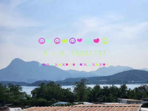 布心排  95081731