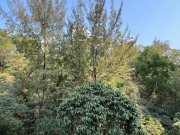 毕架山花园  