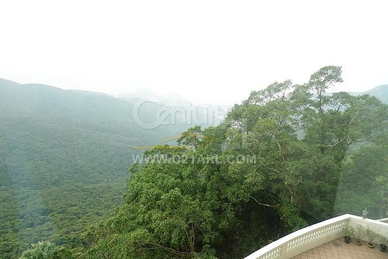 MOUNT AUSTIN Peak L M144729 For Buy