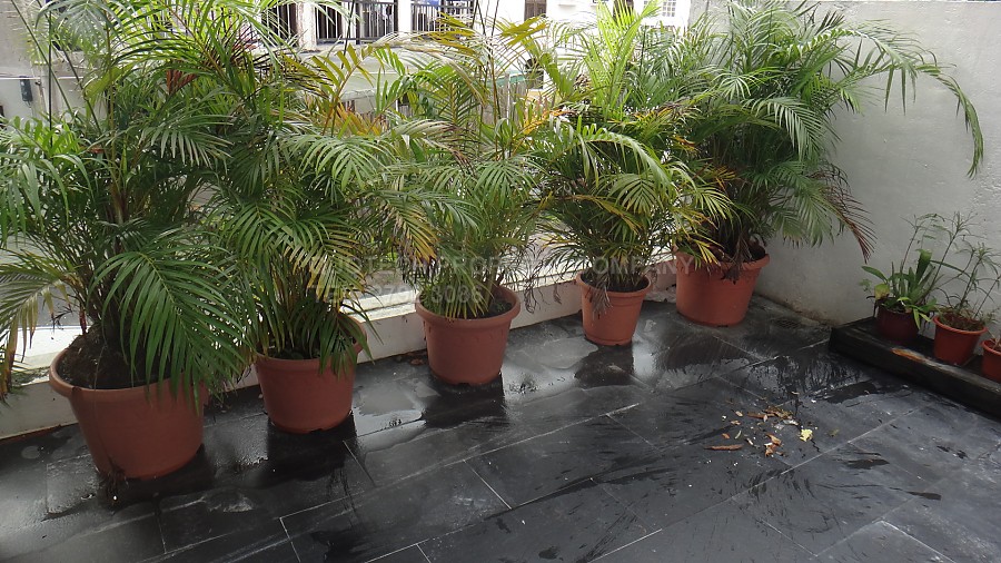 MAU PING TSUEN Sai Kung G 008601 For Buy