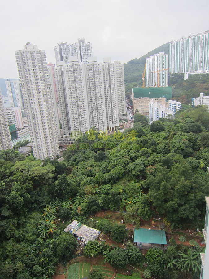 荃景花園