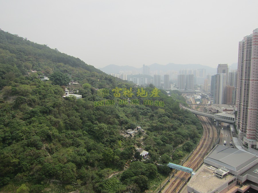 荃景花園