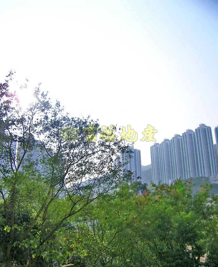 荃灣中心