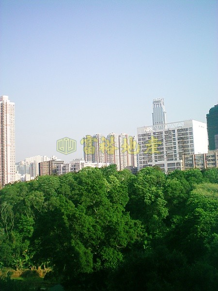 荃灣中心