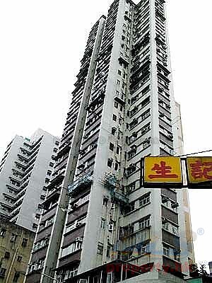 WINNER MAN Shau Kei Wan G P005379 For Buy