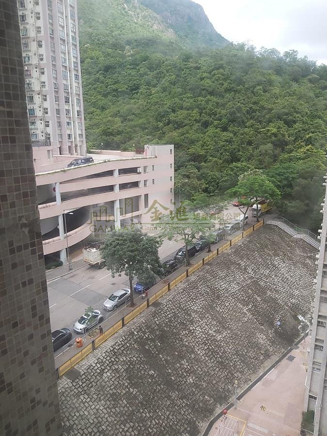 KING LAI COURT  Ngau Chi Wan M D069178 For Buy